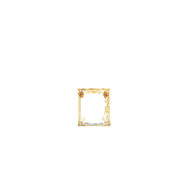 birthday frame text